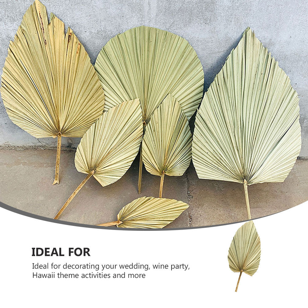 Palm Leaf Dried - 1Pcs Vivid Palm Leaf Decor Natural
