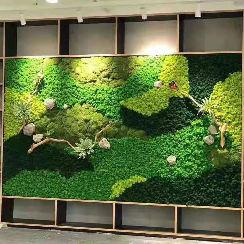 Preserved Moss Sheet - 20g Artificial Green Moss Plants Eternal
