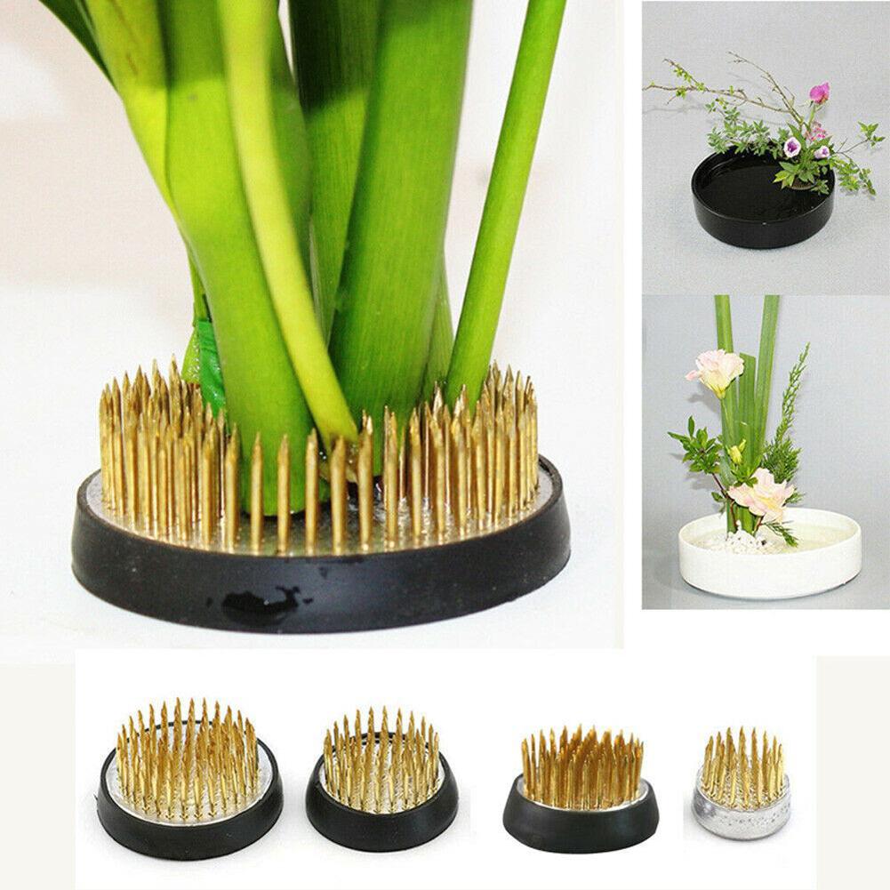 Round Flower Frog Holder For I - Flower Frog Pin review and price