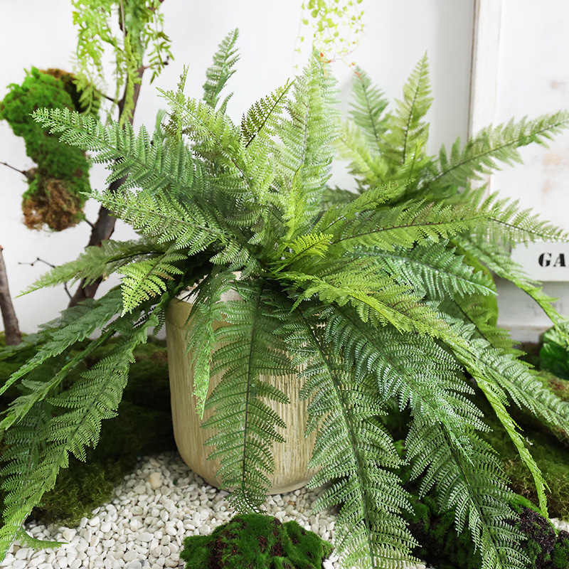 Large Artificial Plants Boston - Preserved Moss Sheet review and price