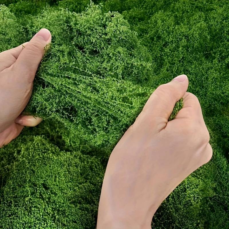 20' X 20' Faux Moss Mat for Pl - Preserved Moss Sheet review and price