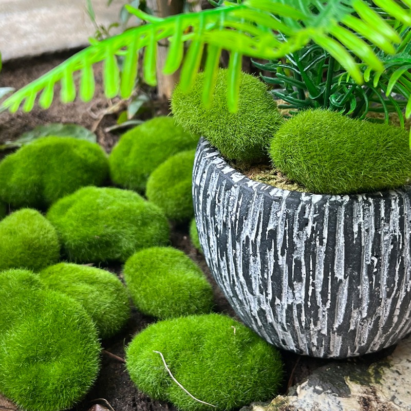 100/5PCS Artificial Moss Rock  - Preserved Moss Sheet review and price