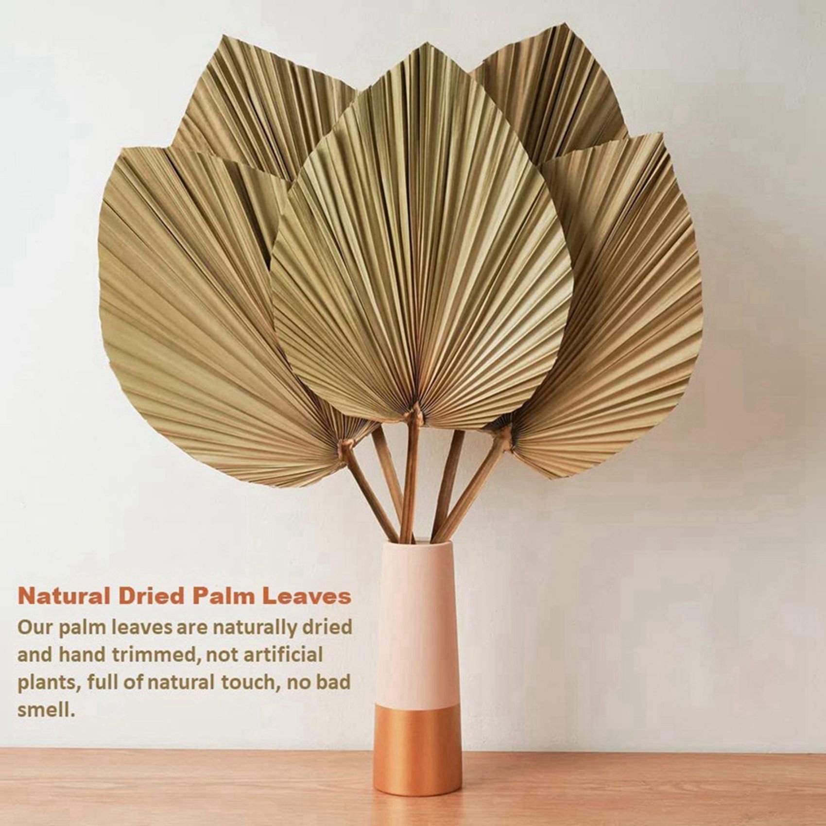 8 Pieces Natural Dried Palm Le - Palm Leaf Dried review and price