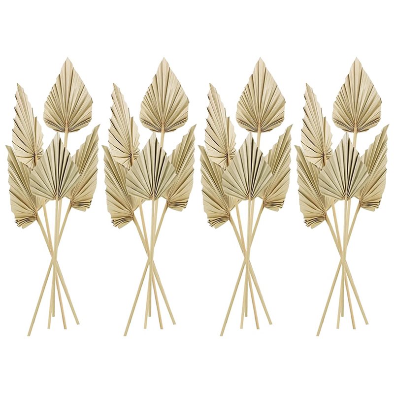 80Pcs Boho Dried Palm Spears L - Palm Leaf Dried review and price