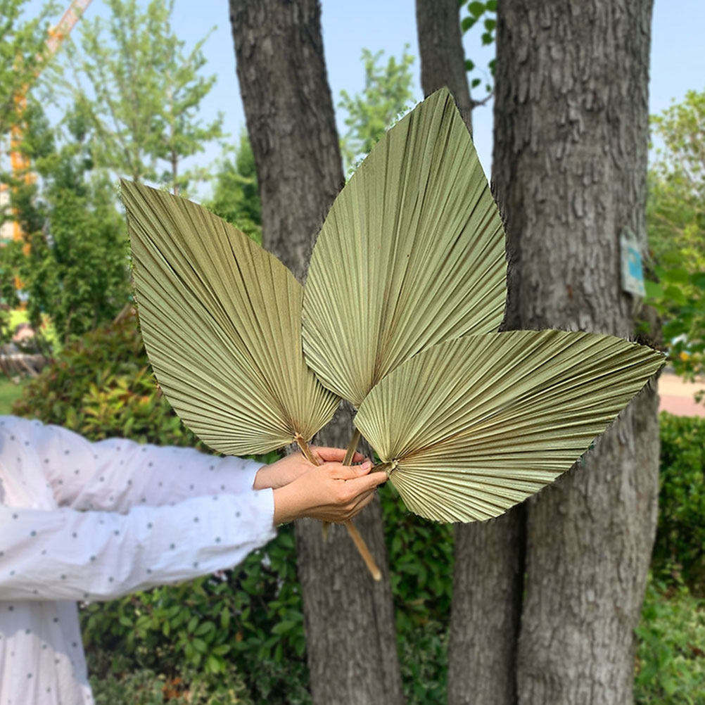 1Pcs Vivid Palm Leaf Decor Nat - Palm Leaf Dried review and price