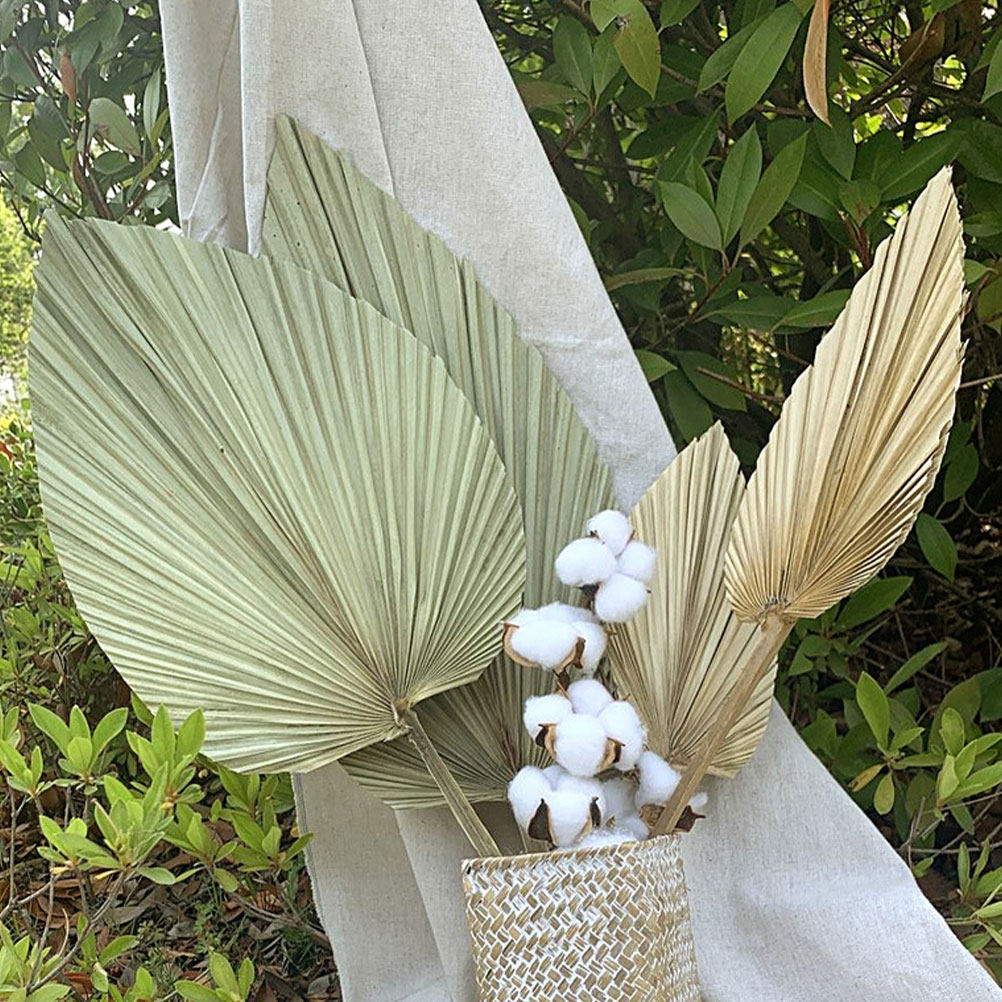 1Pcs Vivid Palm Leaf Decor Nat - Palm Leaf Dried review and price