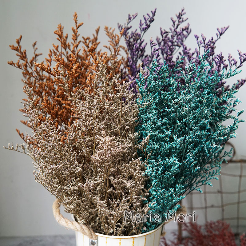 70g/Preserved Valentine's Gras - Eucalyptus Preserved review and price