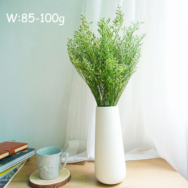 70g/Preserved Valentine's Gras - Eucalyptus Preserved review and price