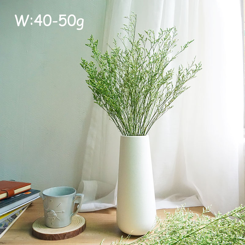 70g/Preserved Valentine's Gras - Eucalyptus Preserved review and price