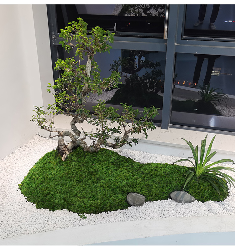 Artificial moss filaments moss - Preserved Moss Sheet review and price