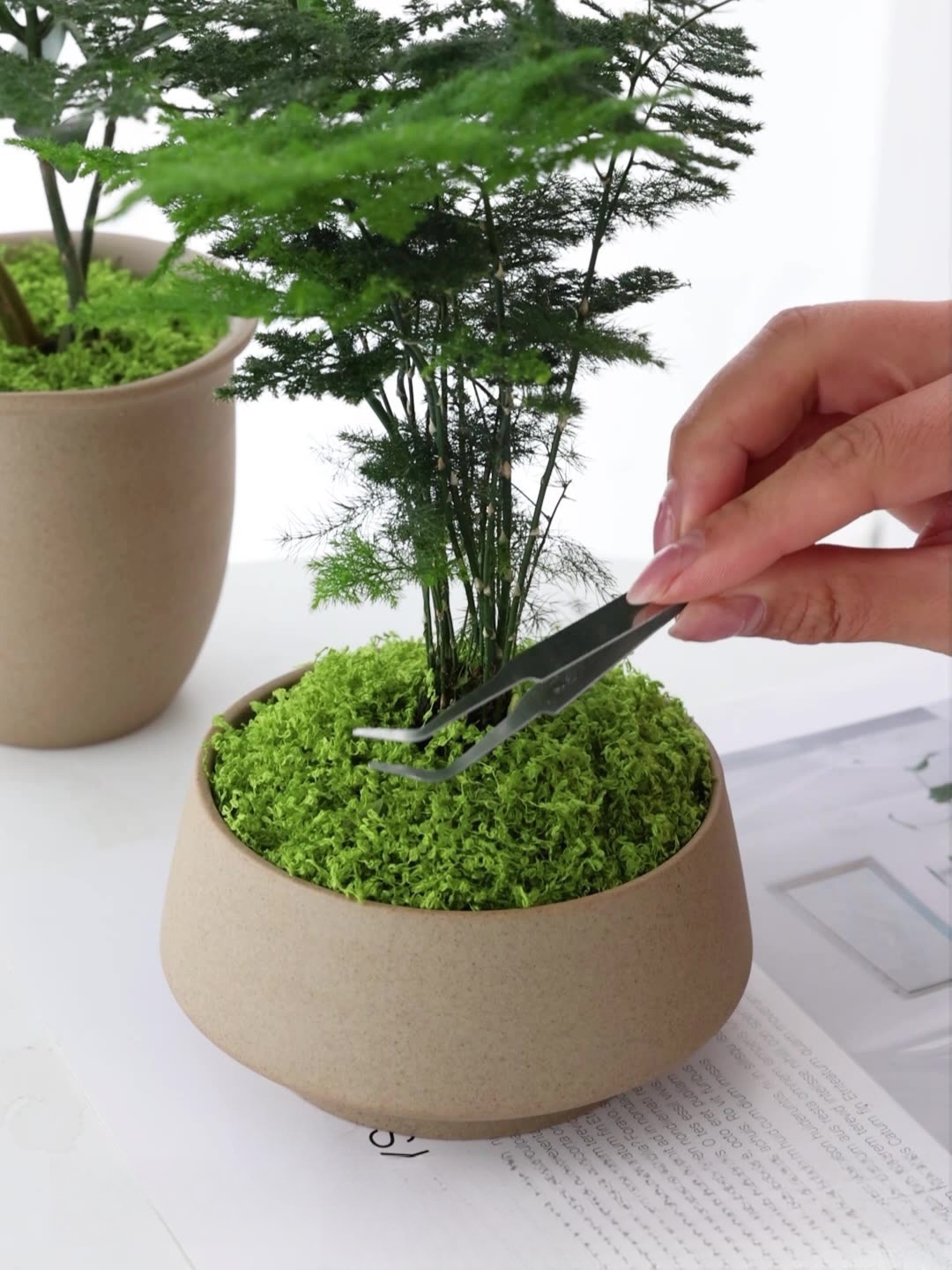 Artificial moss filaments moss - Preserved Moss Sheet review and price