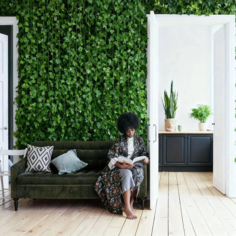 24 PCS Total 19m/755inch Ivy G - Preserved Moss Sheet review and price