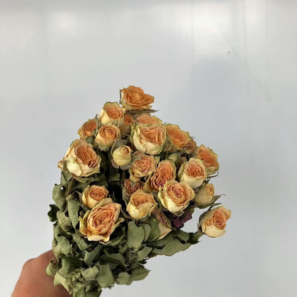 Real Preserved Roses Dried Flo - Dried Flower Bunch review and price