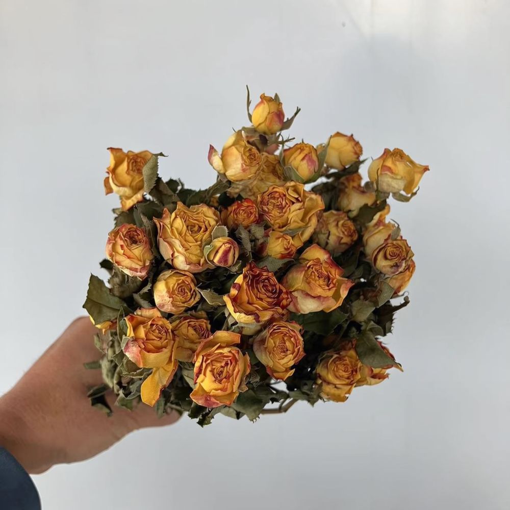 Real Preserved Roses Dried Flo - Dried Flower Bunch review and price