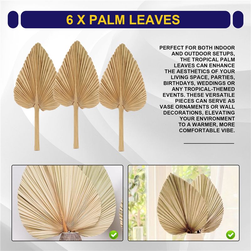AT84-6PCS Dried Palm Leaves Na - Palm Leaf Dried review and price