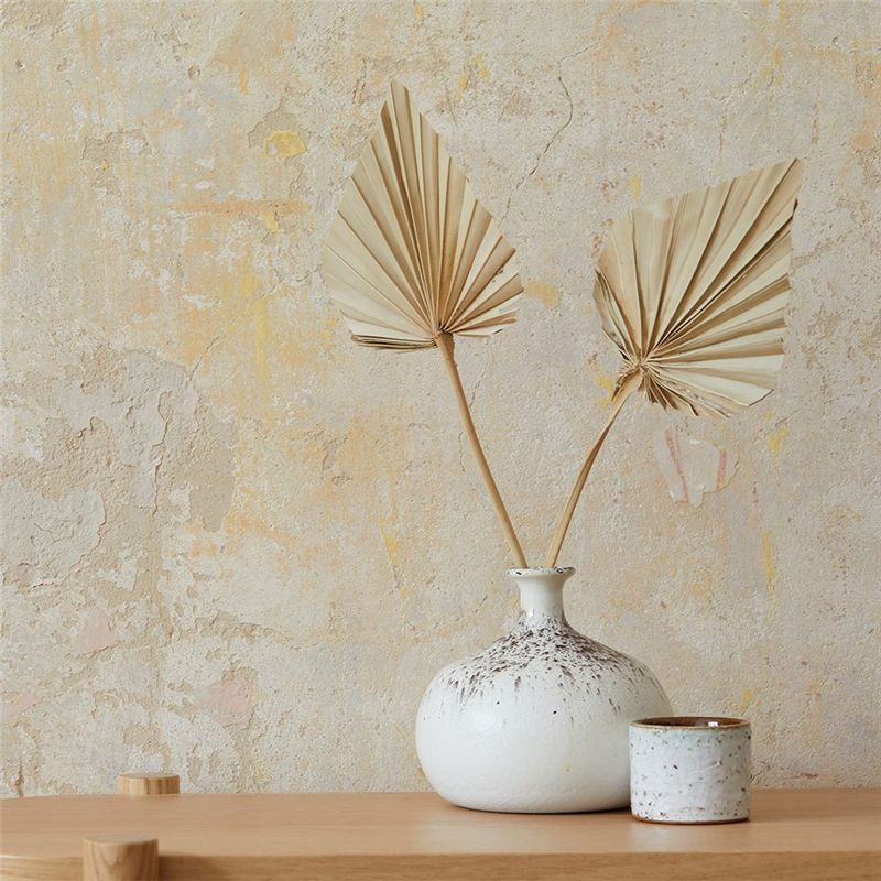 ABYN-Boho Dried Palm Spears Sm - Palm Leaf Dried review and price