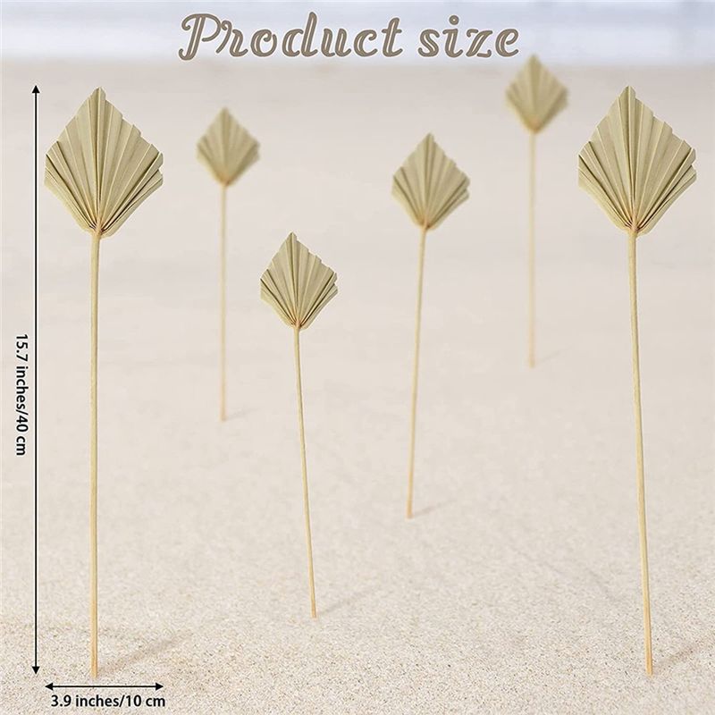 AS60-30 Pcs Boho Dried Palm Sp - Palm Leaf Dried review and price