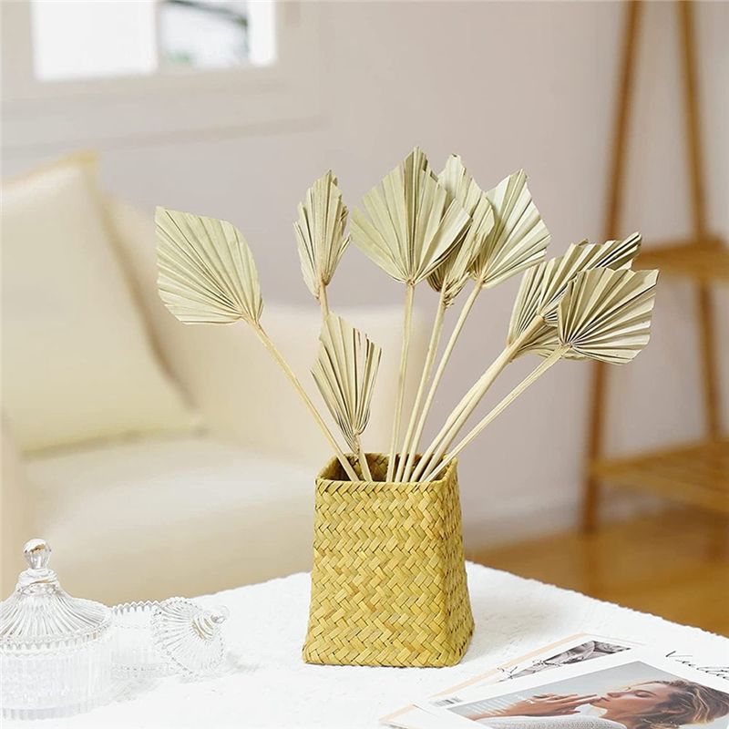 AS60-30 Pcs Boho Dried Palm Sp - Palm Leaf Dried review and price