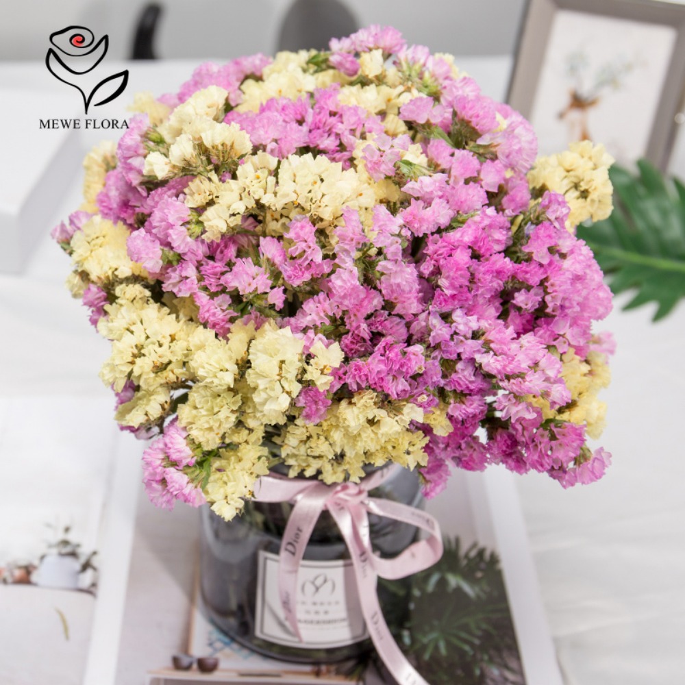 100g Dried Forget Me Not Flowe - Dried Flower Bunch review and price