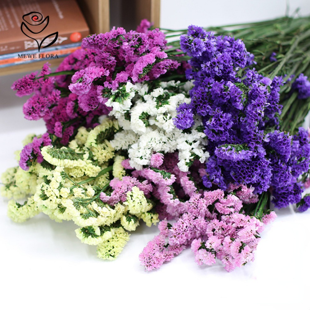 100g Dried Forget Me Not Flowe - Dried Flower Bunch review and price