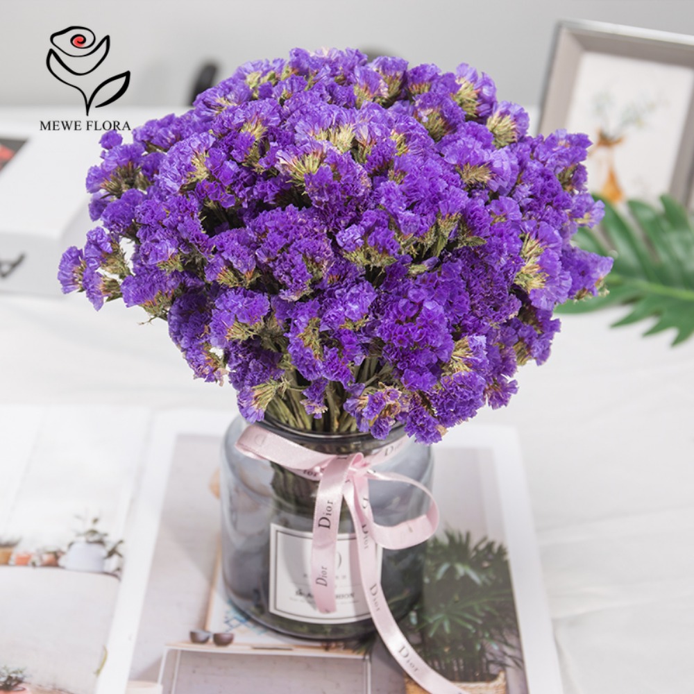 100g Dried Forget Me Not Flowe - Dried Flower Bunch review and price