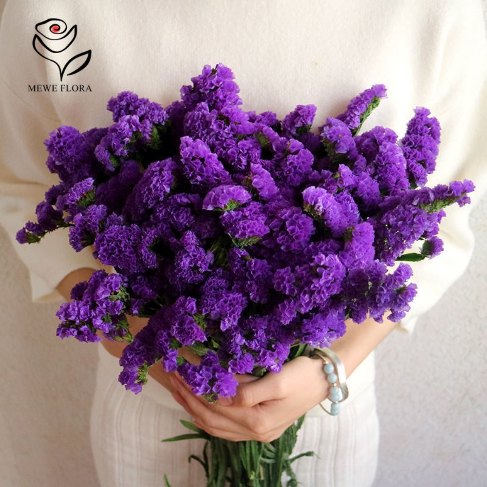 100g Dried Forget Me Not Flowe - Dried Flower Bunch review and price