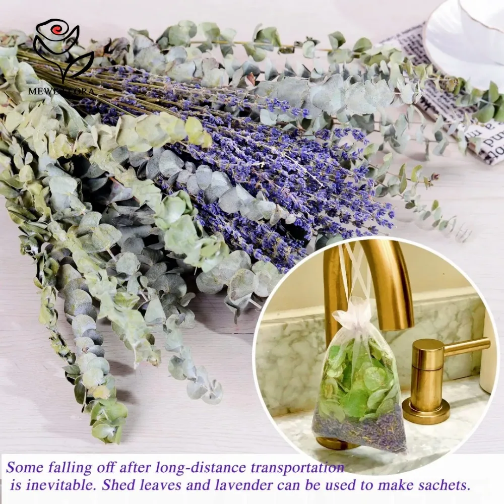 30Pcs Dried Flowers Preserved  - Eucalyptus Preserved review and price
