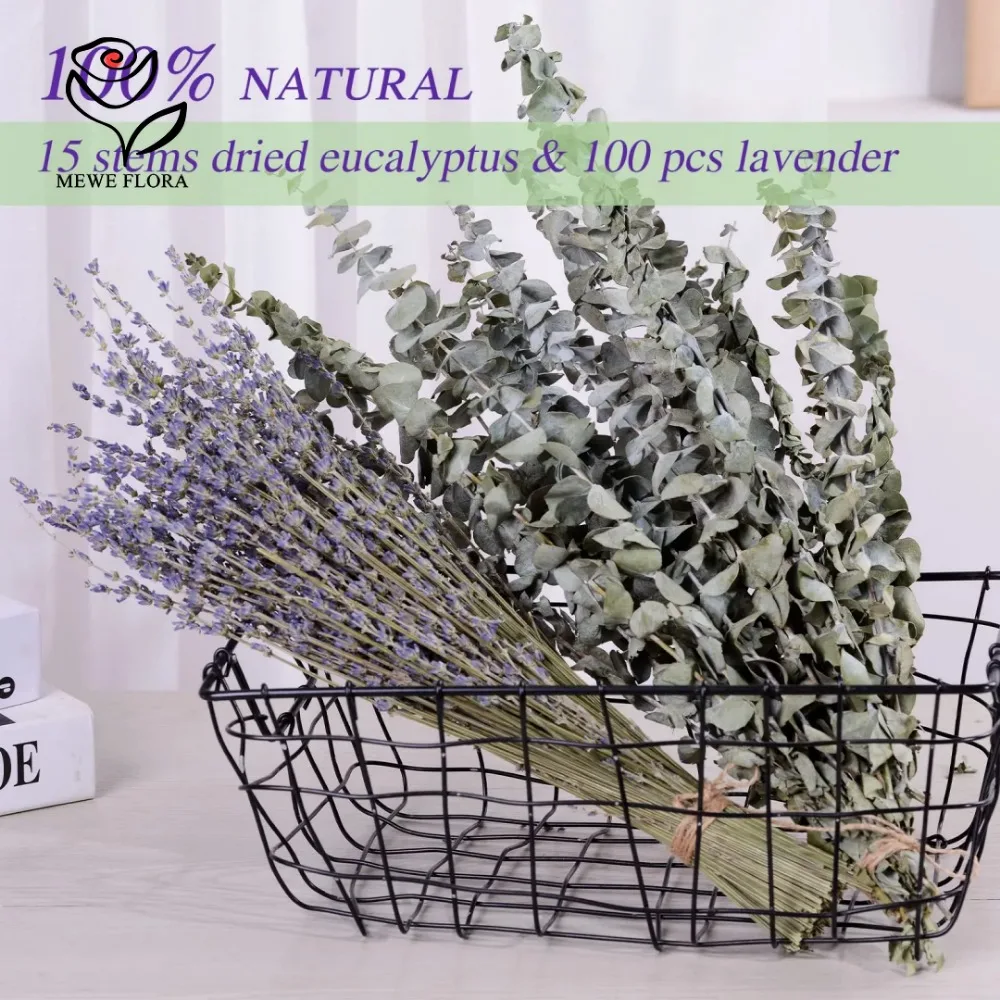 30Pcs Dried Flowers Preserved  - Eucalyptus Preserved review and price