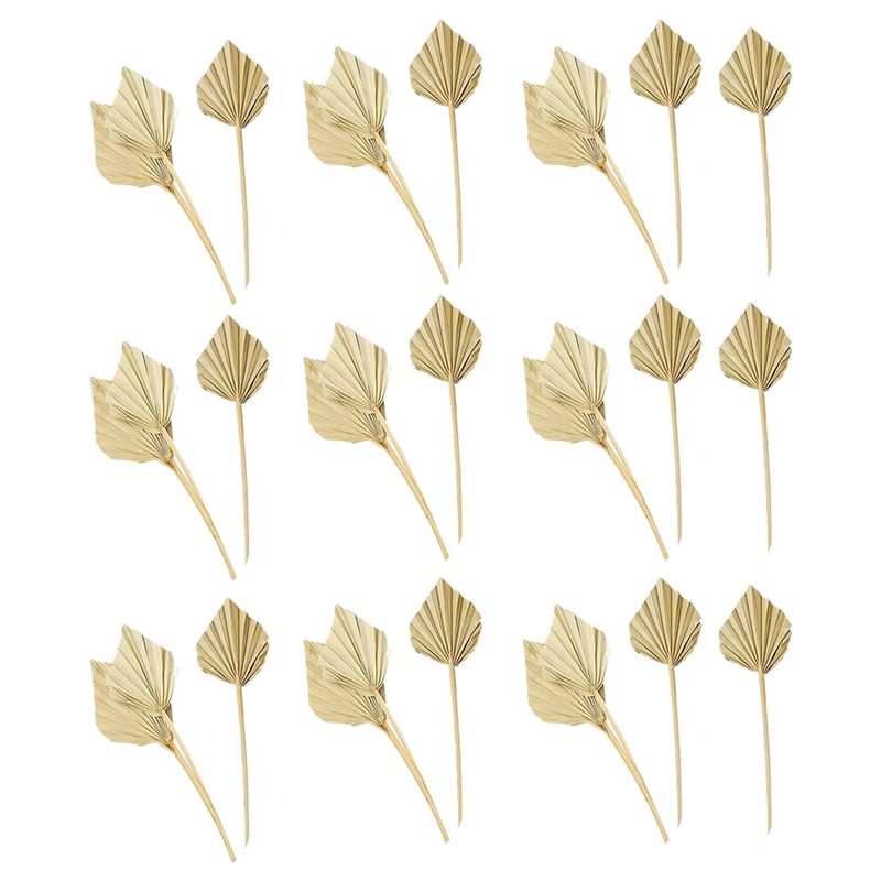 A36T-30 Pcs Boho Dried Palm Sp - Palm Leaf Dried review and price