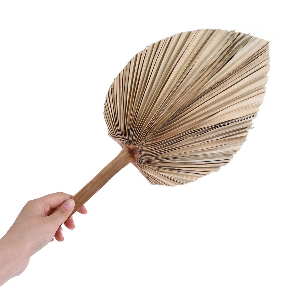 Party Office Boho Trimmed Bohe - Palm Leaf Dried review and price