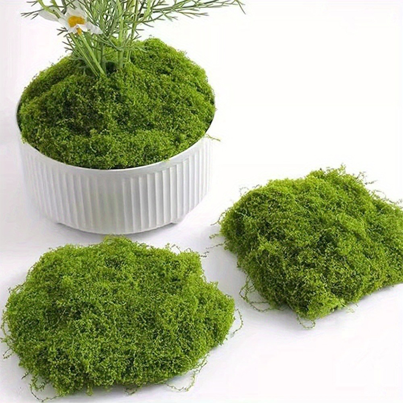 Green Fake Moss DIY Crafts Gra - Preserved Moss Sheet review and price