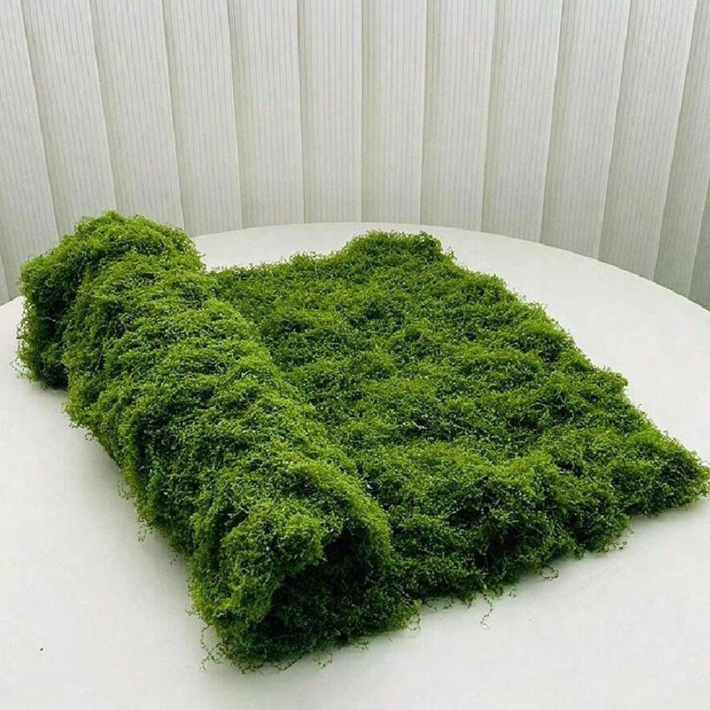 1*1m Fake Moss DIY Crafts Gras - Preserved Moss Sheet review and price
