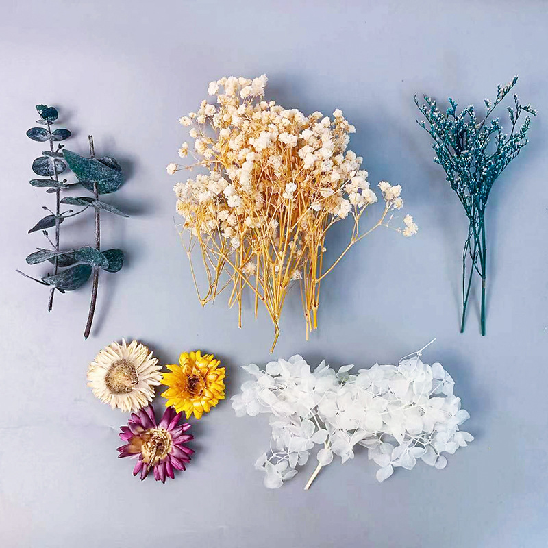 1pack Multifarious Dried Flowe - Dried Flower Bunch review and price
