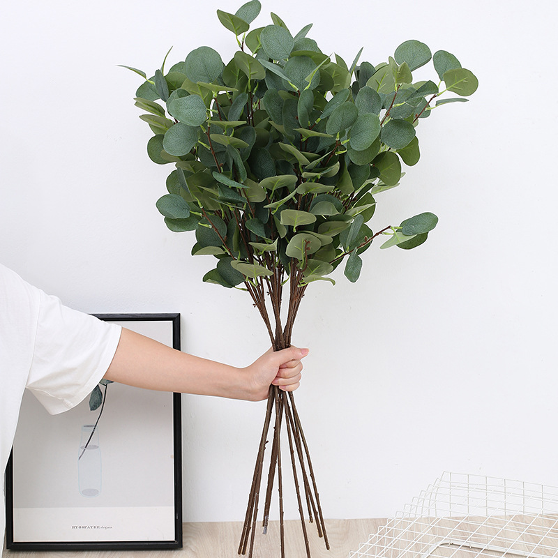 1pcs Artificial Eucalyptus App - Eucalyptus Preserved review and price