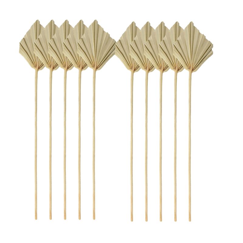 A04G-Boho Dried Palm Spears Sm - Palm Leaf Dried review and price