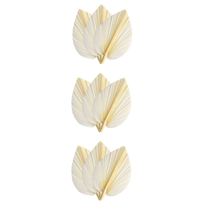 Large White Dried Palm Leaves  - Palm Leaf Dried review and price