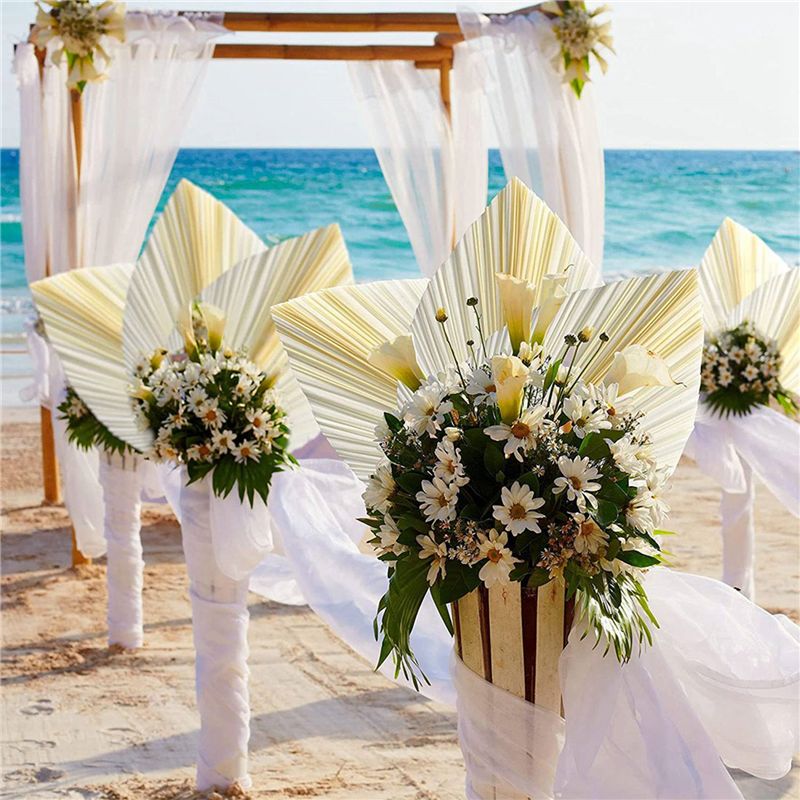 Large White Dried Palm Leaves  - Palm Leaf Dried review and price