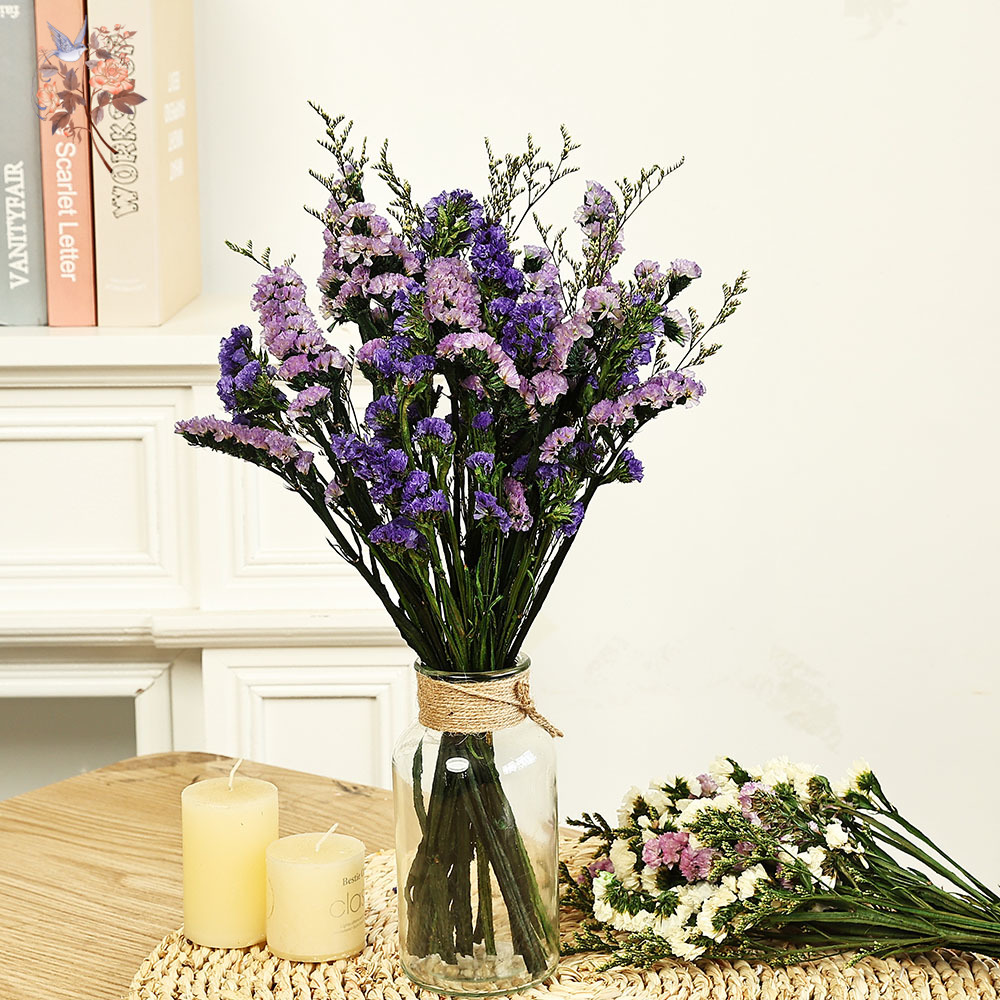 100g Natural Real Forget-me-no - Dried Flower Bunch review and price