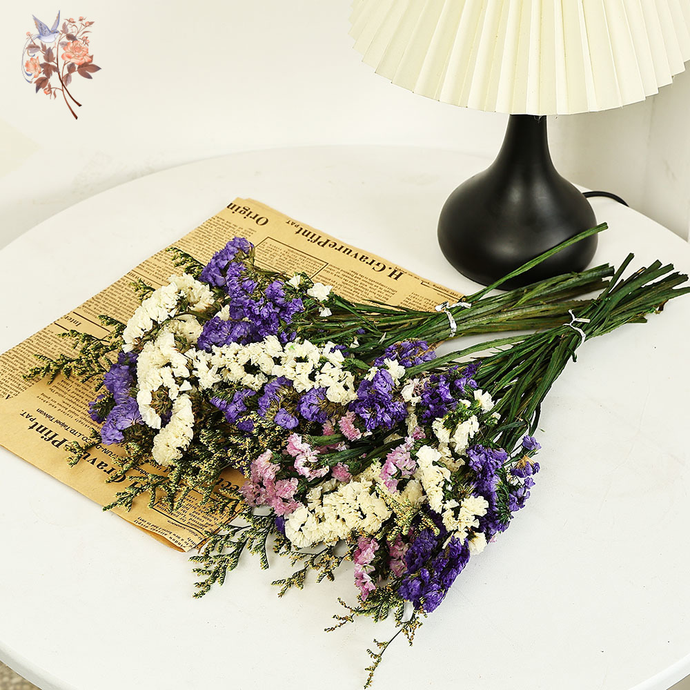 100g Natural Real Forget-me-no - Dried Flower Bunch review and price