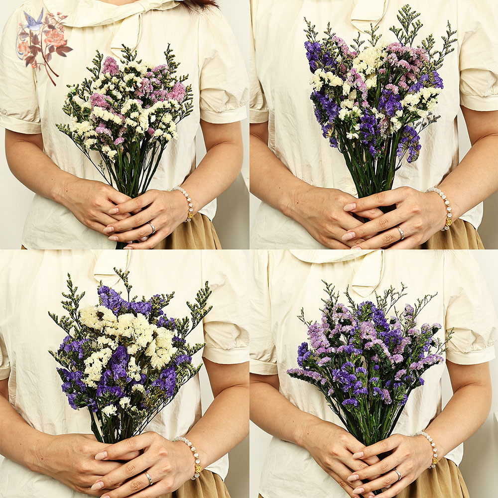 100g Natural Real Forget-me-no - Dried Flower Bunch review and price