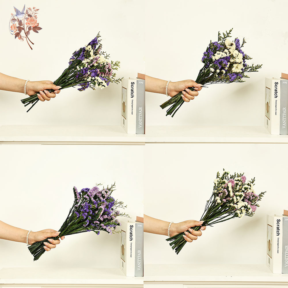 100g Natural Real Forget-me-no - Dried Flower Bunch review and price