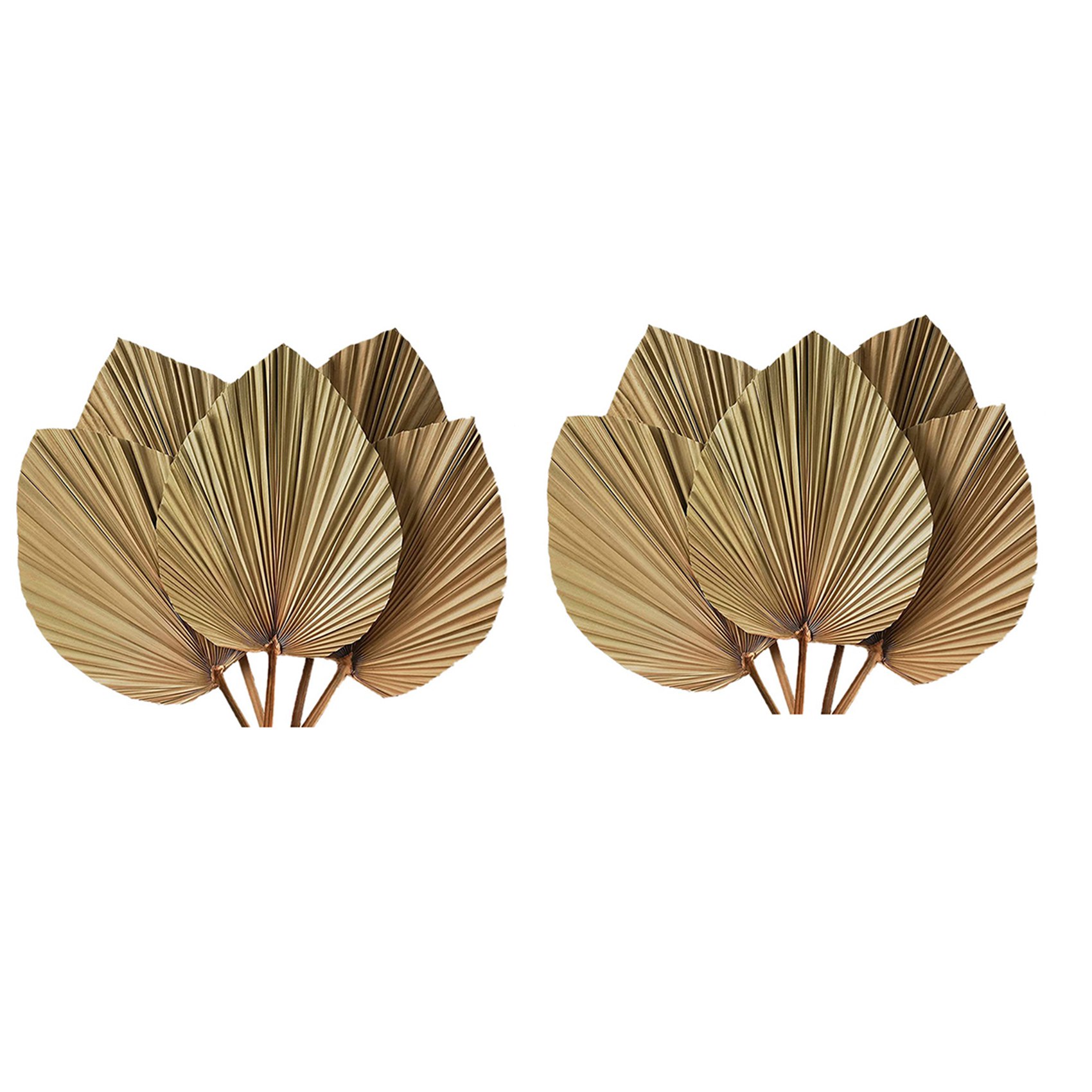 Dried Palm Leaves Room Decor 1 - Palm Leaf Dried review and price